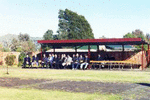 Waitangi Tribunal Return of Hauraki Report (5)_thumb.gif